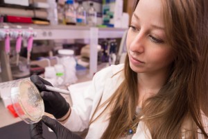 Colorado State University cell and molecular biology Ph.D. student Hailey Conover does research on DNA repair using yeast as a model in Environmental and Radiological Science assistant professor Lucas Argueso's lab, December 17, 2015.